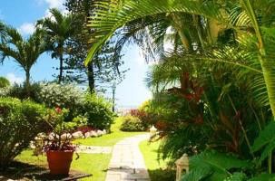 Outdoor Pictures 21