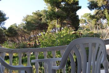 Outdoor Pictures 19