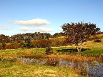 Outdoor Pictures 19