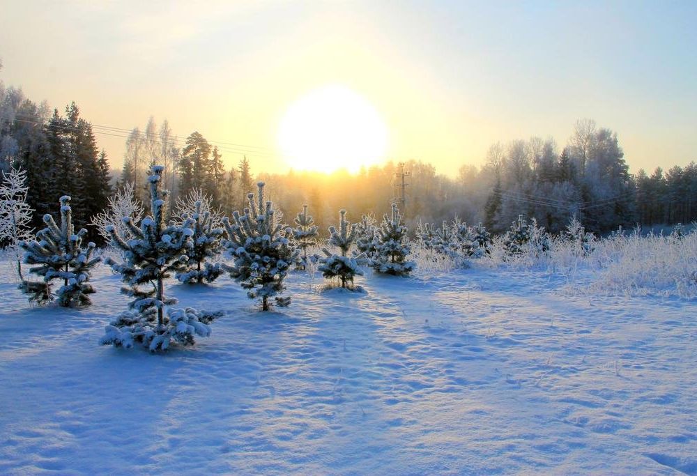 Outdoor Pictures 20