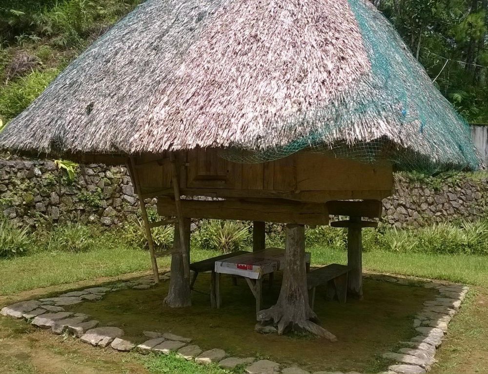 Outdoor Pictures 1