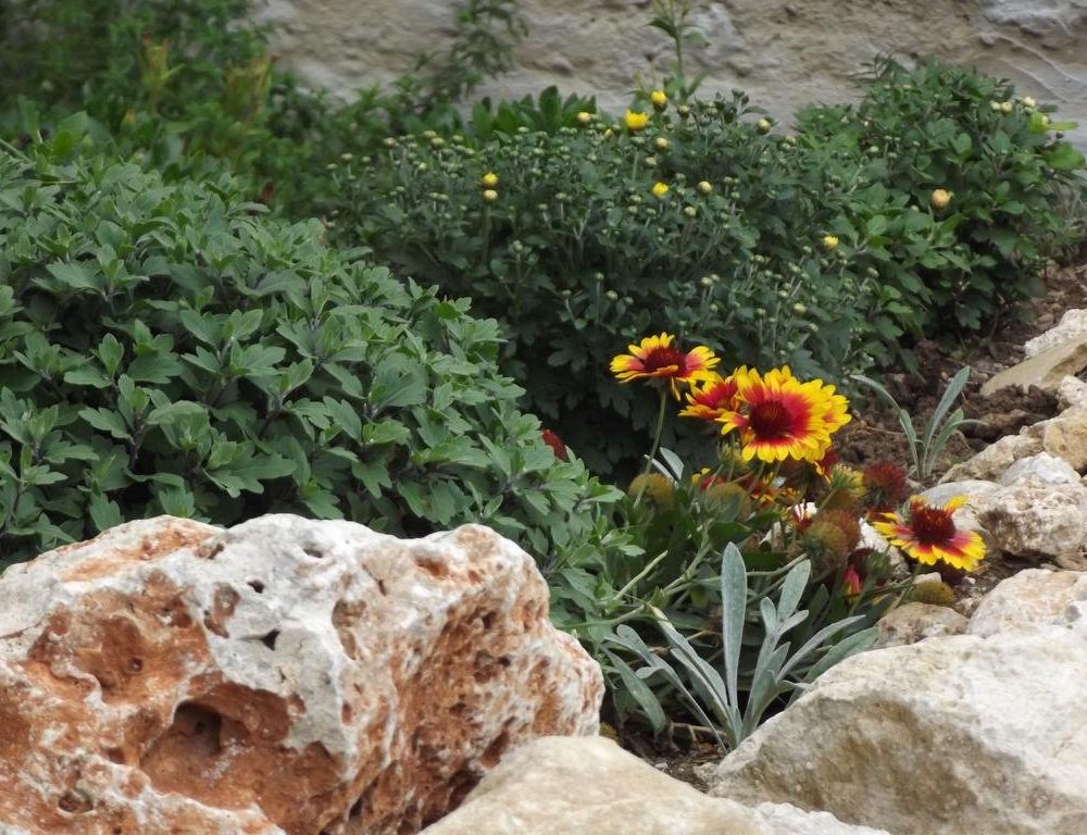 Outdoor Pictures 17