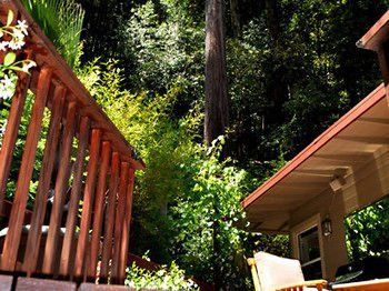 Outdoor Pictures 10
