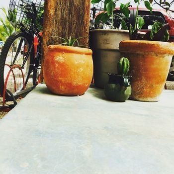 Outdoor Pictures 21