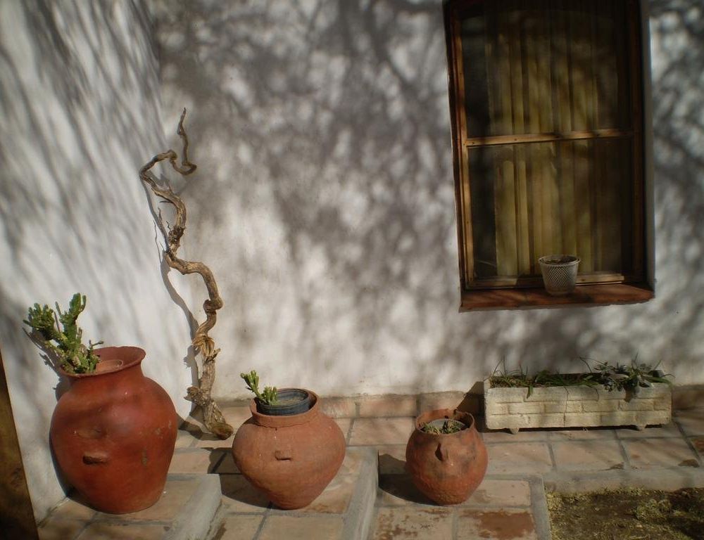 Outdoor Pictures 13