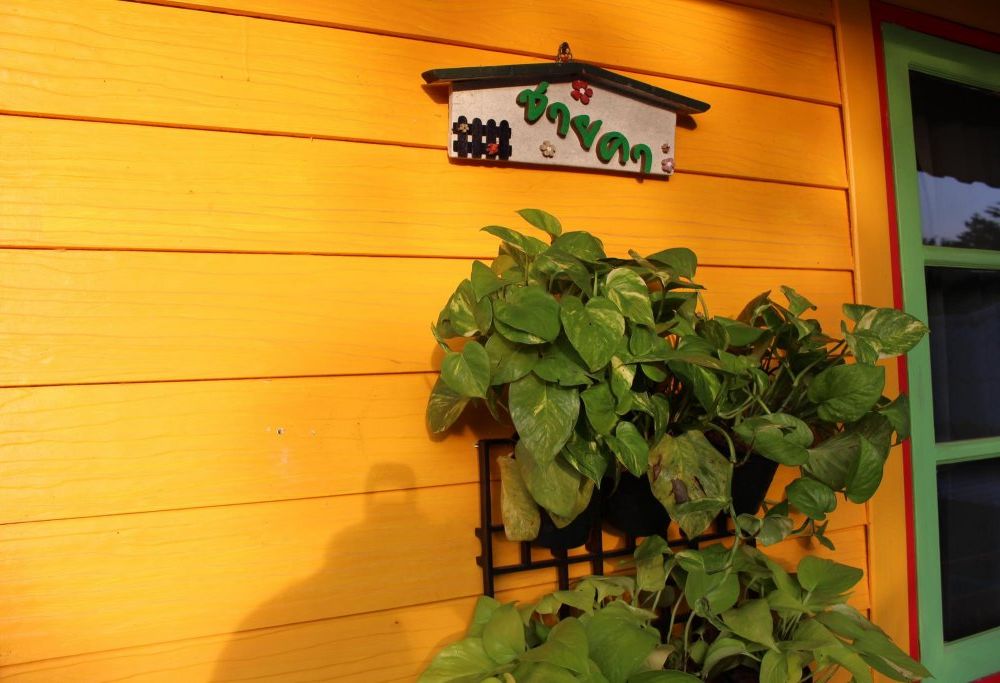 Outdoor Pictures 1