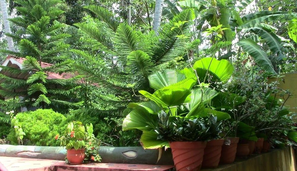 Outdoor Pictures 20
