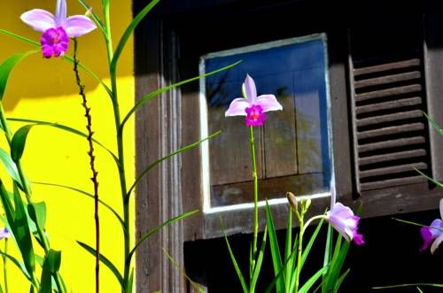 Outdoor Pictures 12