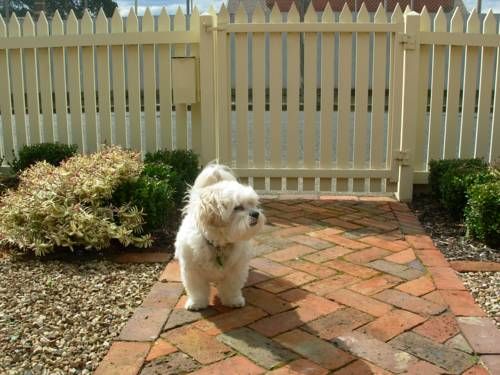 Outdoor Pictures 18