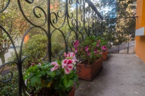 Outdoor Pictures 21
