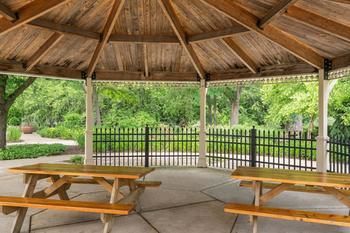 Outdoor Pictures 21