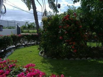 Outdoor Pictures 16