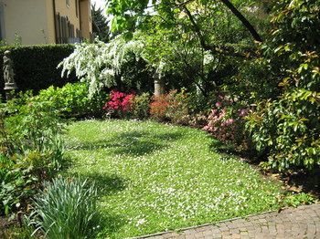 Outdoor Pictures 11