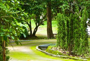 Outdoor Pictures 23