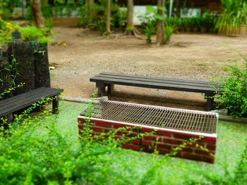 Outdoor Pictures 22