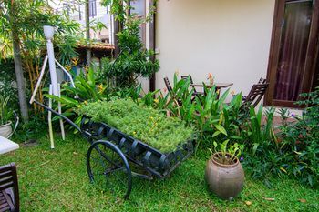 Outdoor Pictures 21