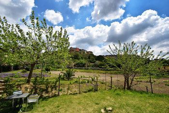 Outdoor Pictures 20