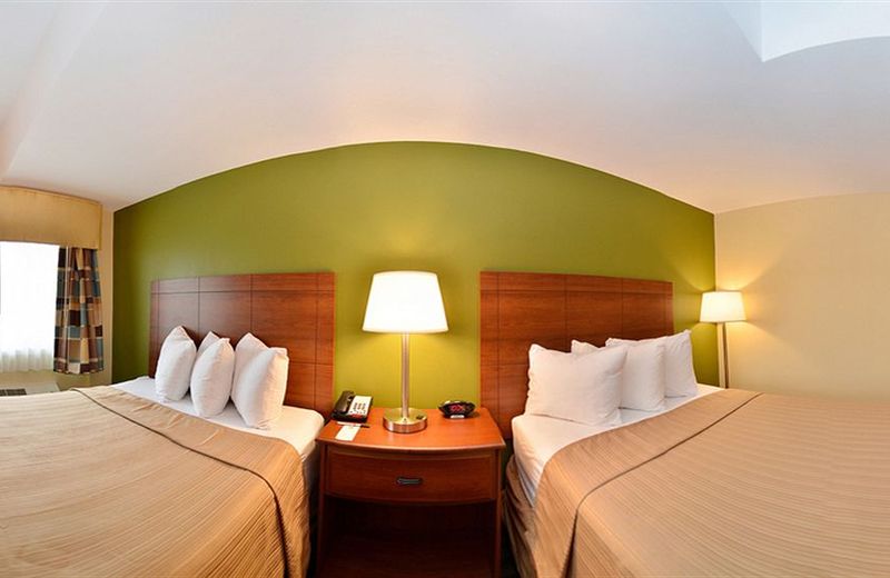 Quality Inn Flamingo