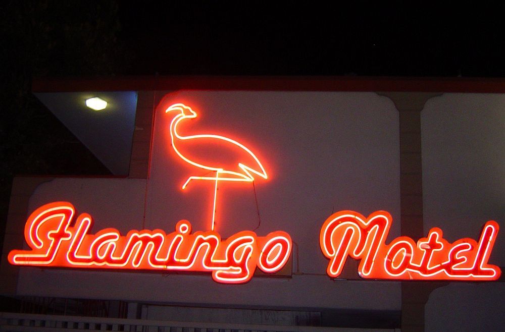 The Flamingo Motel