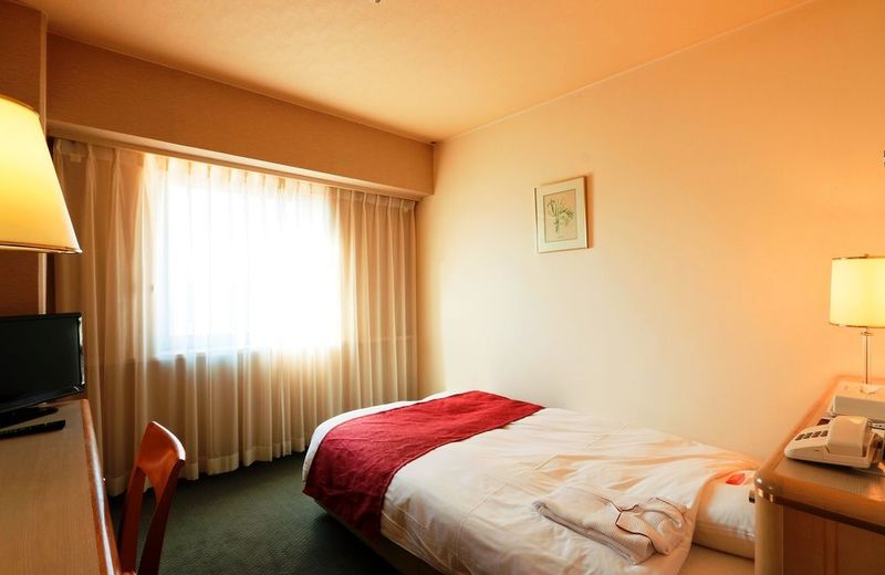 Matsuyama Washington Hotel Plaza