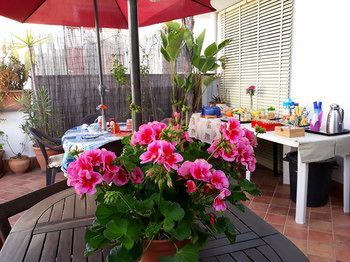 Outdoor Pictures 20