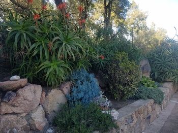 Outdoor Pictures 21