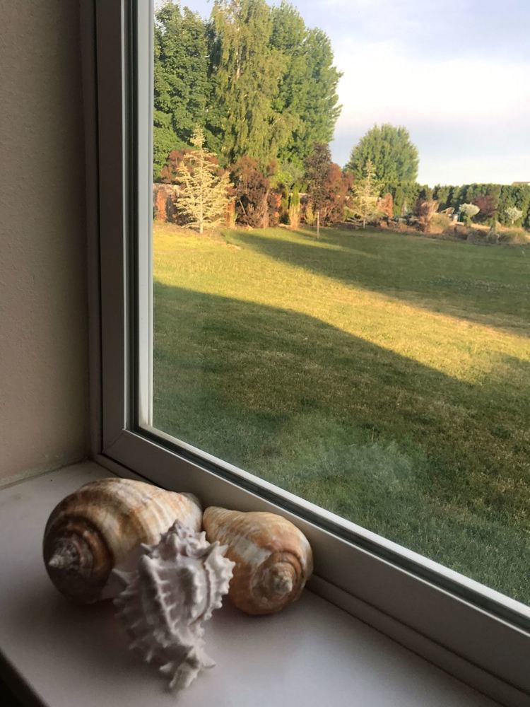 Outdoor Pictures 1