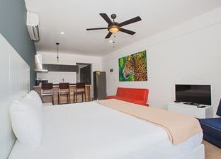 Hotel Image 6