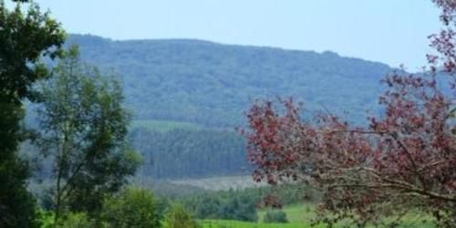 Tanglewood Country House