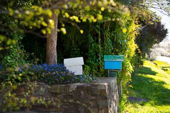 Outdoor Pictures 22