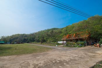 Outdoor Pictures 20