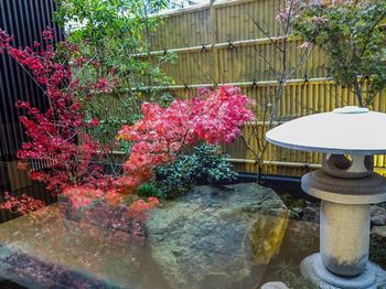 Outdoor Pictures 22