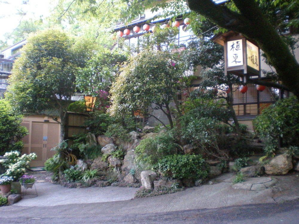 Outdoor Pictures 12