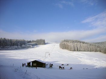 Outdoor Pictures 24