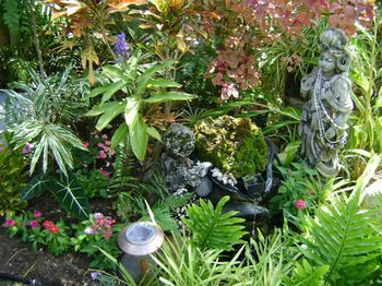Outdoor Pictures 22