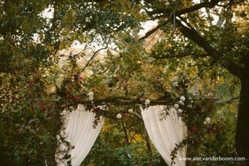 Outdoor Pictures 20