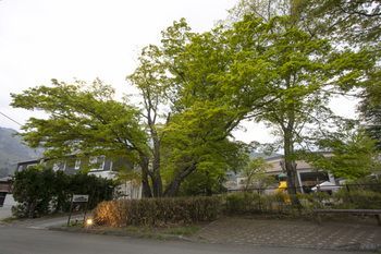 Outdoor Pictures 22