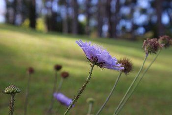 Outdoor Pictures 19