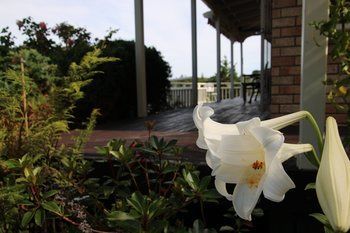 Outdoor Pictures 24