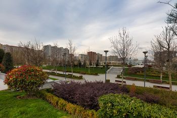 Outdoor Pictures 19
