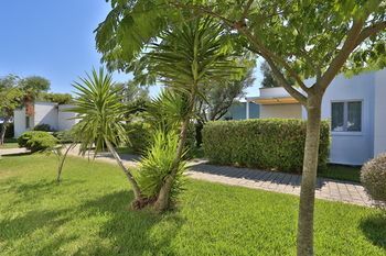 Outdoor Pictures 23