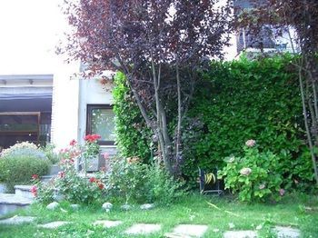 Outdoor Pictures 5