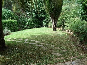 Outdoor Pictures 19