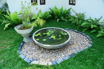 Outdoor Pictures 20