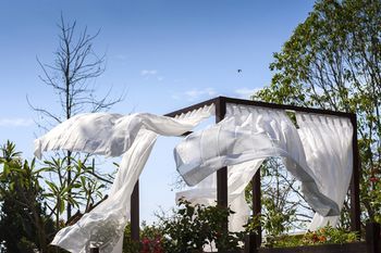 Outdoor Pictures 21