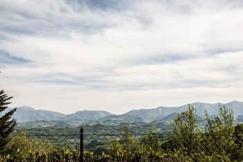 Outdoor Pictures 22