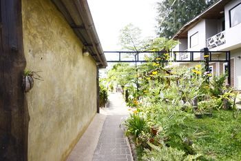 Outdoor Pictures 22