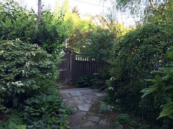 Outdoor Pictures 2