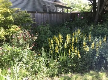 Outdoor Pictures 5