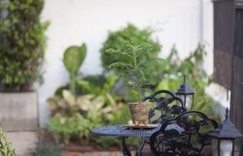 Outdoor Pictures 20